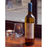 Bedales of Borough Wine Selection Buy Online