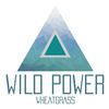 Wild Power Wheatgrass